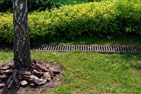 Cost of Yard Water Redirection in Franklin