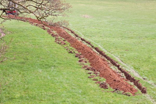 Cost of Swale Installation in Franklin