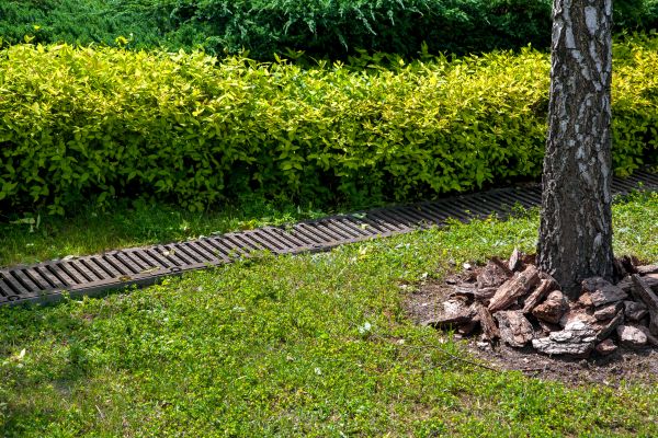 Residential Landscape Drainage