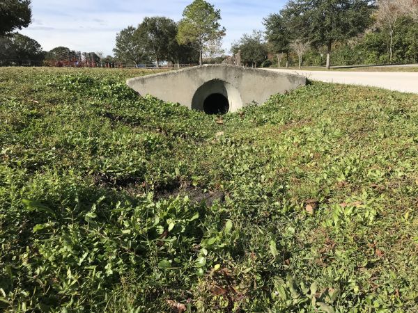 Cost of Swale Drainage Service in Franklin